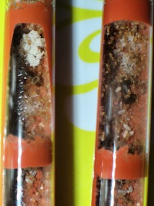 [Blog] La petite aventure de la colonie de Lasius flavus de Salem, IMG_20260519_152216.jpg