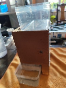 Nid en béton cellulaire vu de<br />côté, [Blog] La petite aventure de la colonie de Lasius flavus de Salem