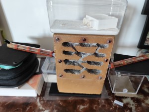 Nouveau set-up des Lasius flavus, [Blog] La petite aventure de la colonie de Lasius flavus de Salem