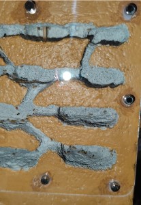 Fourrageuses Lasius flavus<br />découvrant leur nouveau nid, [Blog] La petite aventure de la colonie de Lasius flavus de Salem