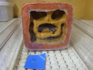 Nid des Lasius emarginatus, [Blog] Suivi de mes colonies