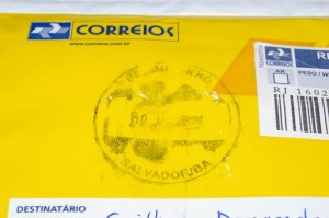 [Blog] Camponotus festinatus, Z1.JPG