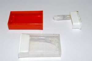 [Blog] Camponotus festinatus, Z3.JPG