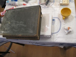 L'autre coté., Mon premier nid en béton cellulaire !