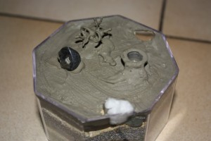 TUTO mon petit nid BC hexagonale+ADF stylisée, Img_1050.jpg