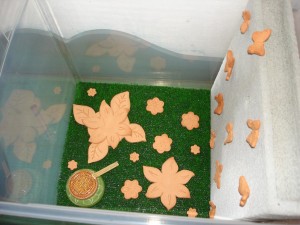 **fin**[Blog] Les Messor barbarus de gaali, DSC02704.JPG