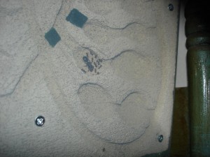 **fin**[Blog] Les Messor barbarus de gaali, DSC02721.JPG