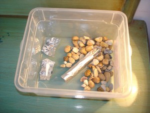 **fin**[Blog] Les Messor barbarus de gaali, 16.01.11.JPG