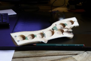 Nid dans une branche, Nid en bois pour Crematogaster scutellaris