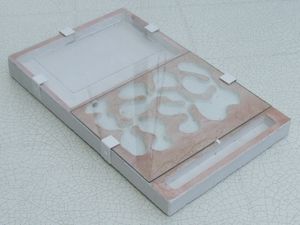 Nid commercial ancien modèle, Quel est le meilleur nid pour Crematogaster scutellaris ?