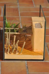 Nid BC pour Camponotus, _DSC0475.JPG