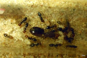 , P4030056-1.JPG