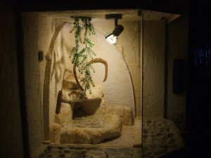 profil1, Reconversion d'un terrarium en nid BC