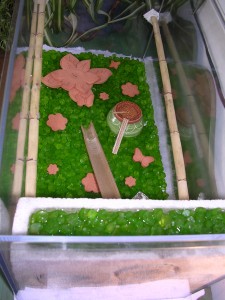 **fin**[Blog] Les Messor barbarus de gaali, 17 mai 2011 (2).JPG