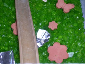**fin**[Blog] Les Messor barbarus de gaali, DSCN3294.JPG