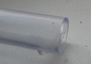 Crematogaster scutellaris et tuyau de liaison, C.scutellaris tuyau 2.jpg