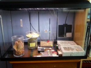 Vos "laboratoires", vos installations d'élevage..., Photo0081.jpg