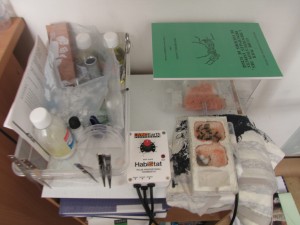 Vos "laboratoires", vos installations d'élevage..., IMG_0414.JPG