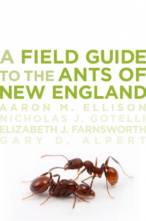 Livre "A Field Guide to the Ants of New England" de Aaron M. Ellison, Nicholas J. Gotelli, Elizabeth J. Farnsworth, et Gary D. Alpert, publié chez Yall University Press, 2012
