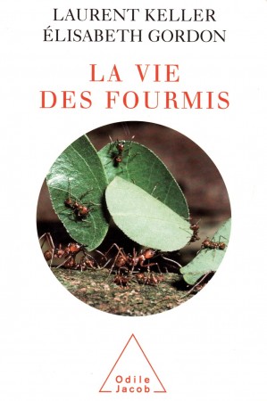 Couverture recto du livre "La vie des fourmis", de Laurent Keller et Élisabeth Gordon, 2006