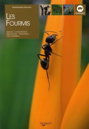 Couverture du livre "Les fourmis", de Marie-Sophie Germain, 2007