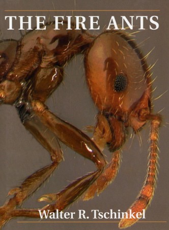 Livre "The fire ants" de Walter Reinhart Tschinkel, 2006