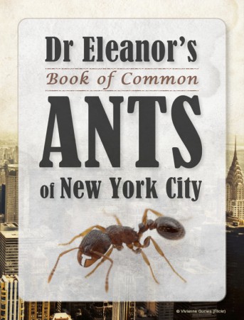 Couverture du Dr Eleanor's Book of Common Ants of New York City