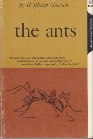 The Ants
