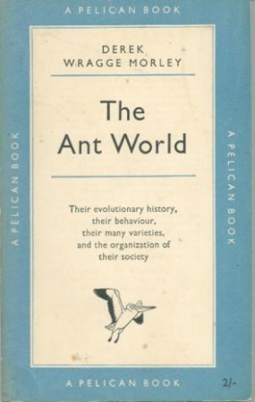 The ant world