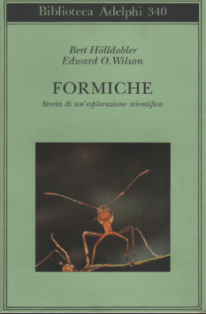 Formiche