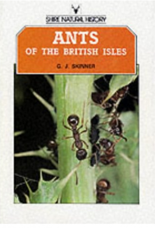 Ants of the British Isles