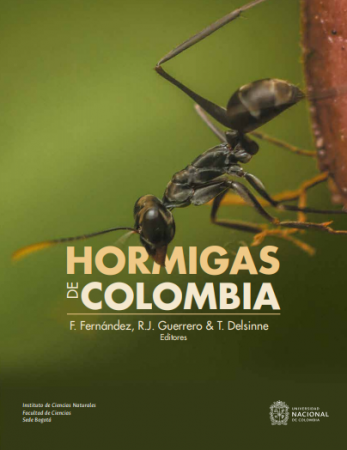 Hormigas de Colombia